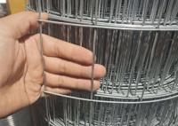 Painéis de malha de arame de ferro galvanizado Soldado Furtos quadrados Resistentes à corrosão para proteção e decoração.