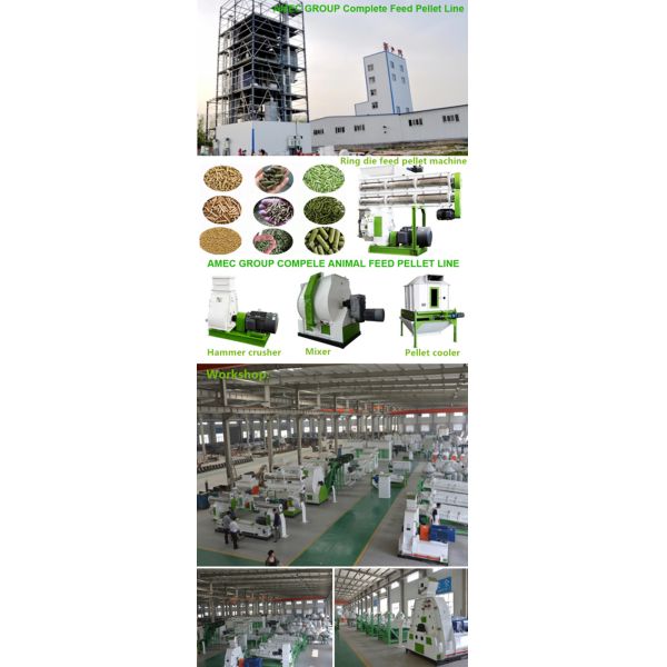 Complete Animal Feed Processing Machine High Efficiency 3 - 5t/H Capacity