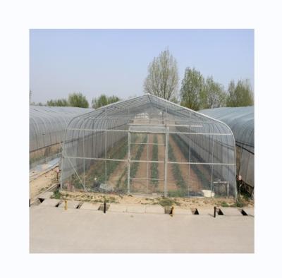 PE Tunnel Greenhouse for Hydroponic Tomato Cultivation Easy Assembly Length 10-100m