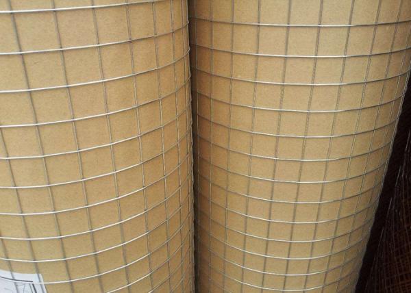 Thin Welded Wire Cloth Roll Type , Galvanized Stainless Steel Weld Mesh