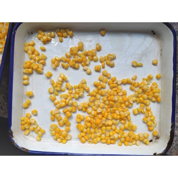 Стержени сладкой мозоли олова A9 A10 свежие в воде