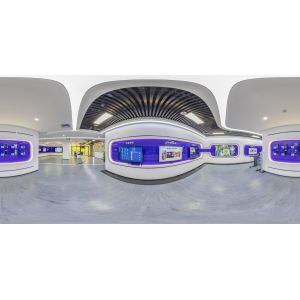 Shenzhen Wellcam Co., Ltd.