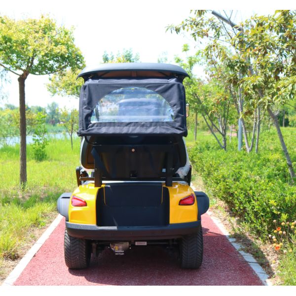 Import EV Golf Electric Cart Battery Powered Rechargeable 5KW Motor Hunting Cars