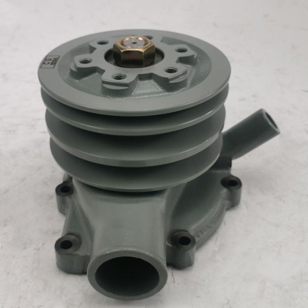 Water Pump 2510093G00 D6BT D6BR Engine R200-3 R200-5 R220-5 Excavator Cooling System Spare Part Supplier