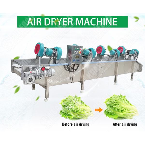 Fan Blower And Vibrate Conveyor Dry Conveyor Wild Vegetable Cleaning Equipment Heavy Duty Food Processor