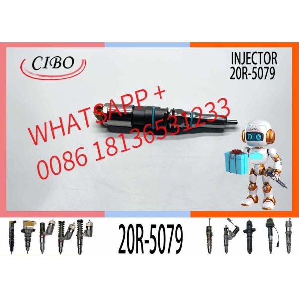 High Quality Diesel Fuel Injector C9.3 456-3493 20R-5036 367-4293 20R-5079 for Excavator Engine EXCAVATOR PART