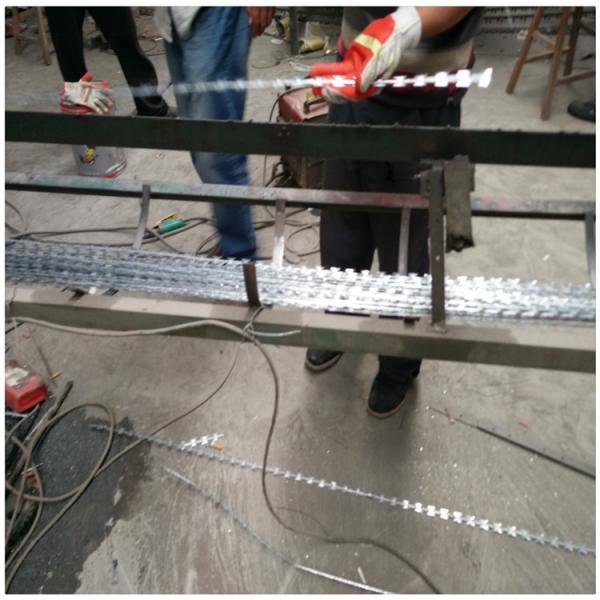6m Length 2.5mm Diameter Straight Razor Wire Concertina