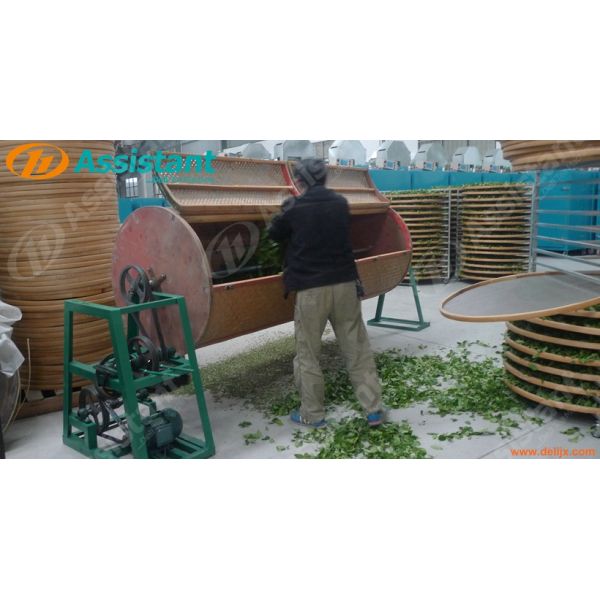 DL-6CYQT-6015 Quick Shake Green Machine for Shaking Oolong Tea Leaf Motor Power 0.75 KW
