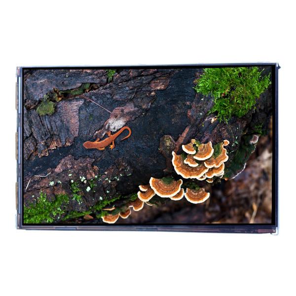 Le tableau de bord de l'écran LCD de 7,0 pouces 450 cd/m2