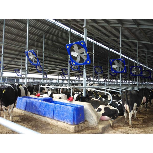400*67*68cm/13.1*2.2*2.2 Heavy-duty Impact Resistant Polyethylene Livestock Water Tank in Blue for Standards