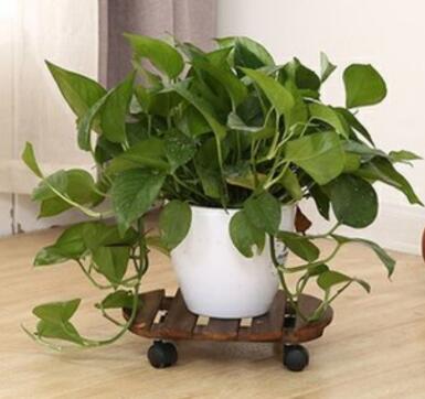 Garden Patio Walnut 28.5cm Round Outdoor Plant Caddy On Wheels