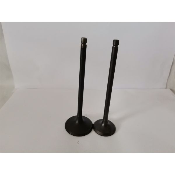 CITROEN C3 / PEUGEOT 208 Diesel Engine Valve 4211EX engine accessories