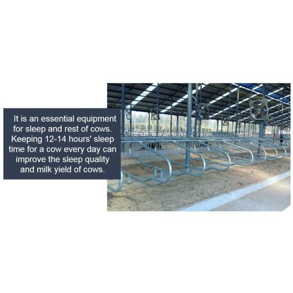 Тип амбар скотин 9JY молокозавода стойла кисловочного доказательства свободный для поголовья