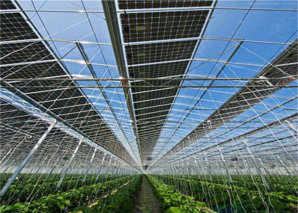 Indoor Greenhouse Solar System Farming Innovative Dynamic Photovoltaic Frameless Panel