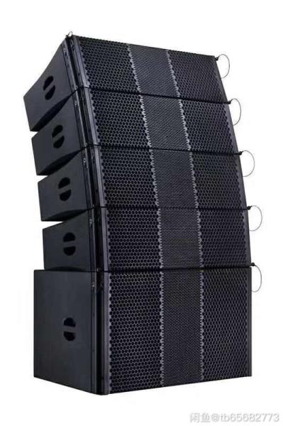Dual 10 Inch 2 Way Line Array Loudspeaker 700W Pro Audio Black Cabinet