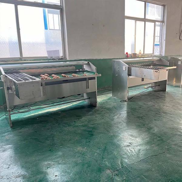 Automatic Egg Sort Grade Weighing And Sorting Egg Machine Egg Grading Process Line Scale Grader Mini Sorter Egg Machine Commercial Egg Sorting Machine Automatic Egg Grading and Packing System
