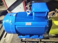 motor elétrico de ímã permanente de 185kw 3000rpm 380V para a bomba de água