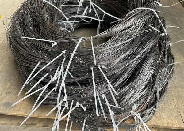 Um tipo camadas 1000 galvanizadas quentes da galinha de Hen Cage For da camada cultiva