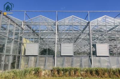 Large Tempered Glass Greenhouse For Growing Organic Vegetables Year Round