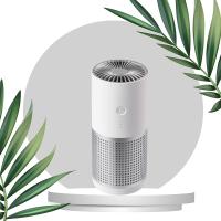 Petit épurateur d'air de voiture d'USB HEPA