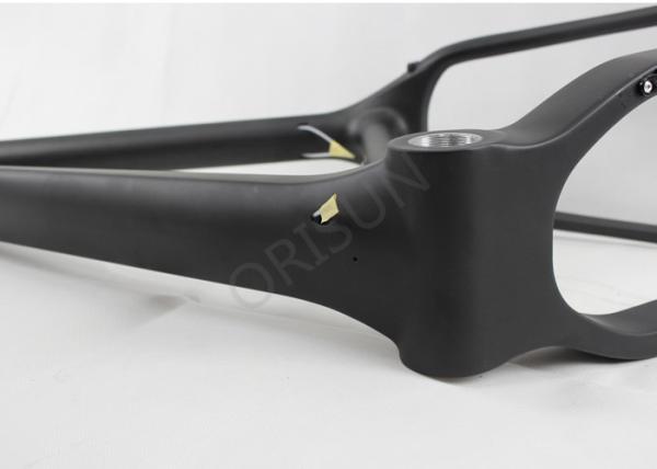 Carbon 26er Bike Frame , Snow / Fat Bike Frame Customized Painting Designs
