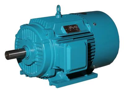 Nema Premium Motor Manual 55kw 75kw 110kw 132kw 250kw 280kw 315kw 380V 440V