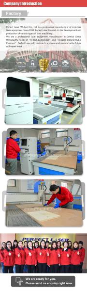 Máquina CNC Router de mesa de liga de alumínio de alta potência PEM-1325 para madeira/móveis