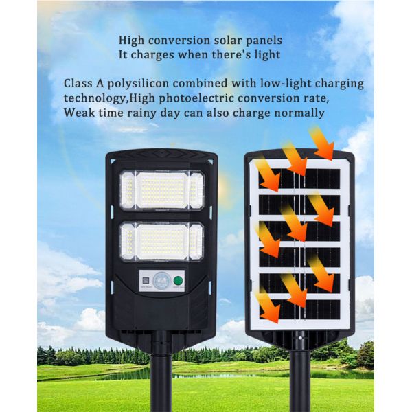 Lighting and Circuitry Design for 0.23kg Power Induction Street Light in Rural Areas