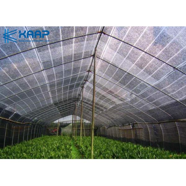 Не ХДПЭ ячеистой сети деформации ссадины пластикового материальные высокие устойчивые