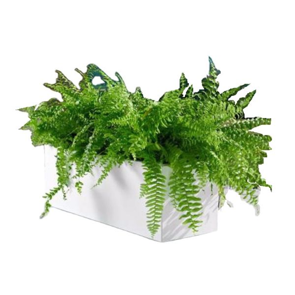 Польза снаружи коробки плантатора цветка нержавеющей стали