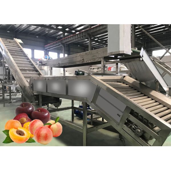 Alta tarifa de extracción 1000 T/Day del uso de la seguridad de la planta de tratamiento múltiple del melocotón
