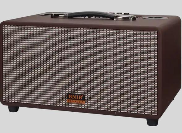 Outdoor Active TWS Portable Wireless Speaker 6.5 Inch 800W With 2 Mic