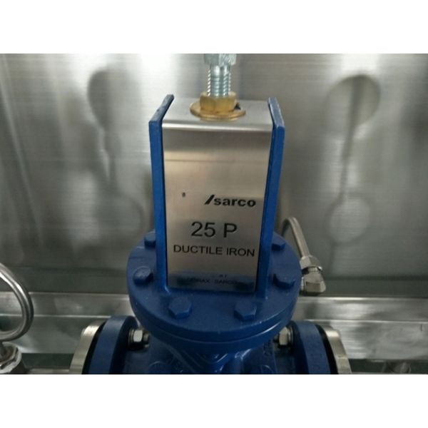 Производственная линия соуса для томатов весом 300 кг, работающая на машине для переработки свежей томатной пасты