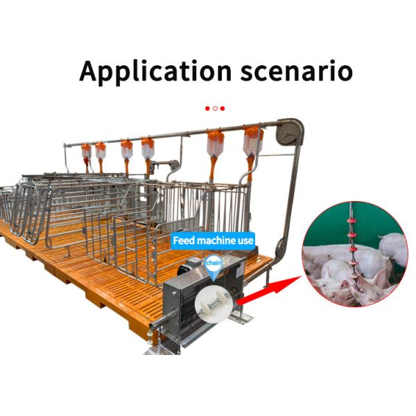 Livestock Farm Automatic Chain Disc Feeding Line