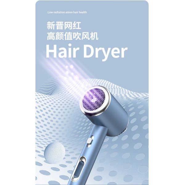 Hotel Household High Speed Hair Dryer Air Styler Salon Hot Air Brush with Metal Body
