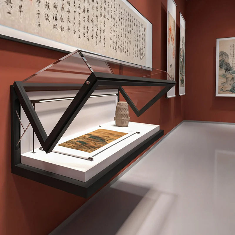 Wall Mount Museum Display Cabinet Wall Hanging Artifact Glass Showcas