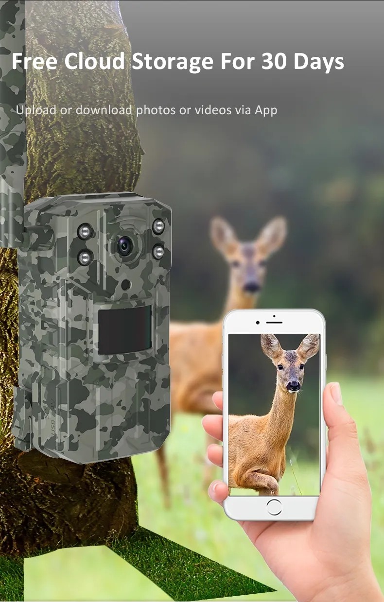 Погодостойкая на открытом воздухе батарея камеры IP66 18650 следа 4MP с ночным видением