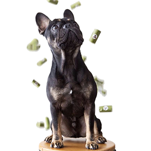 Unscented, Leak-Proof, Earth-Friendly Dog Waste Bag Poop Bags Custom Printed Wholesale Biodegradable Pet Dog Poop Bag