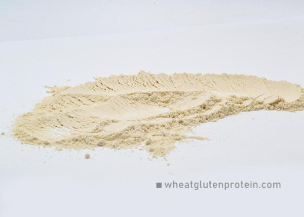 Slightly Yellowish Vital Wheat Gluten Protein For Eel / Shrimp / Salmon