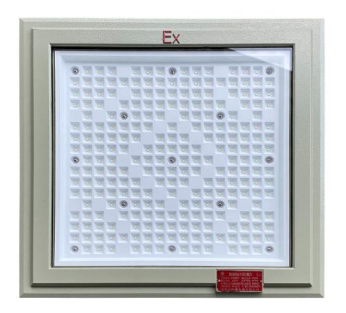 CREE Chip 50W–240W Explosion Proof LED Flood Light for Hazardous Location Lighting IP66 Rated