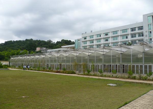 9.6m Tunnel Width Polycarbonate Greenhouse for Sustainable Agricultural Practices