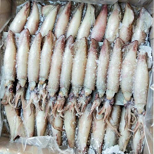 500KG Per Hour Poultry Meat IQF Industrial Food Freezing Machine