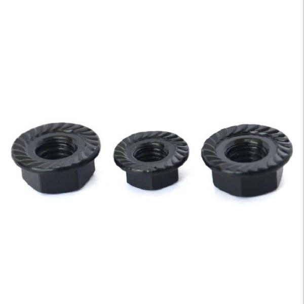 O zinco preto revestiu porcas de aço inoxidável trava o tipo categoria 4,8 M3-M12 serrilhou a flange