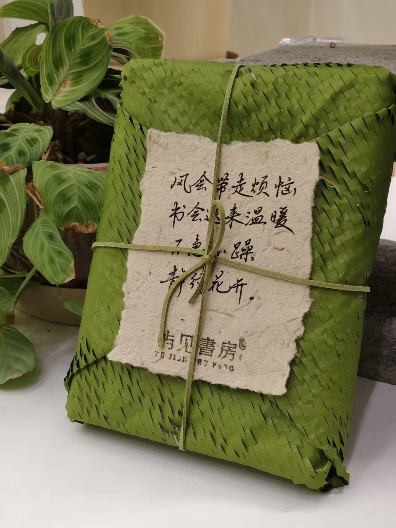 Green Honeycomb Paper Sleeve – Expandable Book Protector for Eco-Friendly & Nature Brands