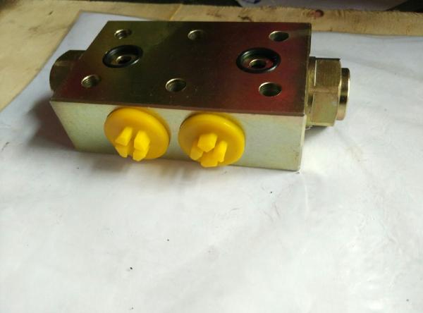 High quality Hydraulic Lock for XCMG truck mounted crane SQ16ZK4Q,XCMG truck crane spare parts