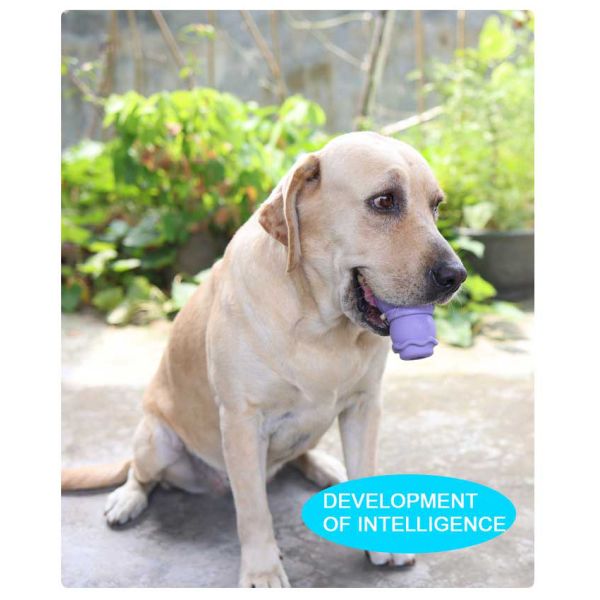 Домашний снеговик Игрушка на заказ Устойчивая к укусам Молярная натуральная резина Укусы Интерактивные игрушки для домашних животных