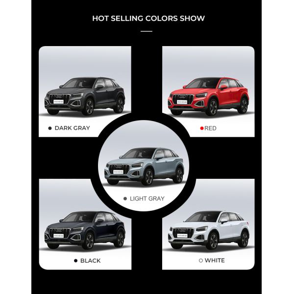 Audi Q2L-Etron Long Range SUV New Energy Vehicles 160km/H