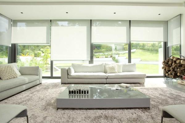 roller blinds plastic chain control spring control roller blinds low price roller  blinds fabric,cordess roller blinds