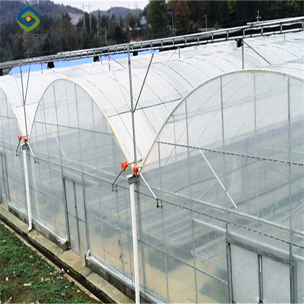 Customized Commercial Greenhouse Vegetable Production For Pepper And Cucumber
