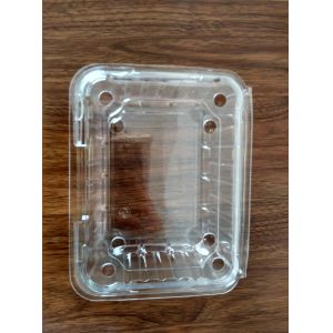 Fruit packing box